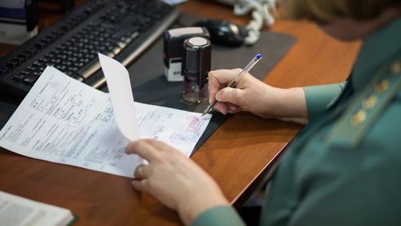 прописка в Углегорске